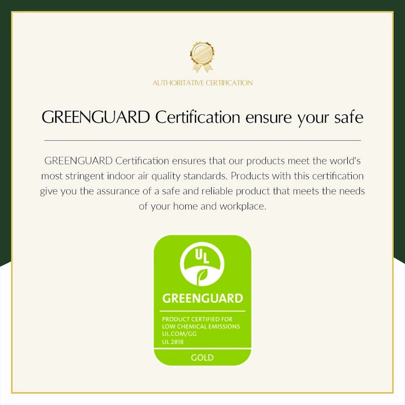 Larry Traditional Floral Dual Motor Heated Lift Assist Power Recliner with Massage Set of 2 by